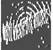 mittnetworkmusic icon
